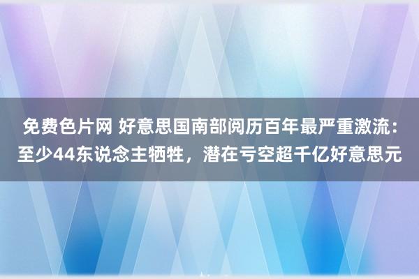 免费色片网 好意思国南部阅历百年最严重激流:至少44东说念主牺牲,潜在亏空超千亿好意思元