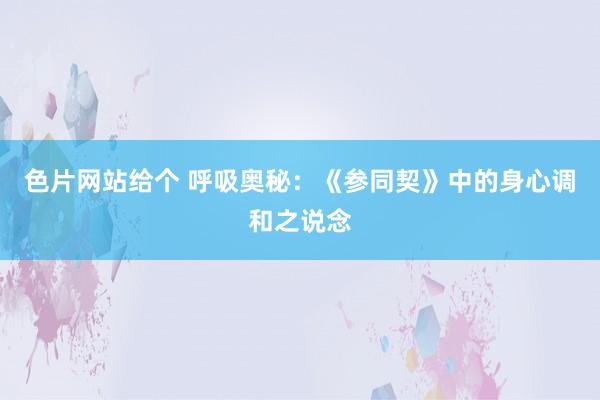 色片网站给个 呼吸奥秘：《参同契》中的身心调和之说念