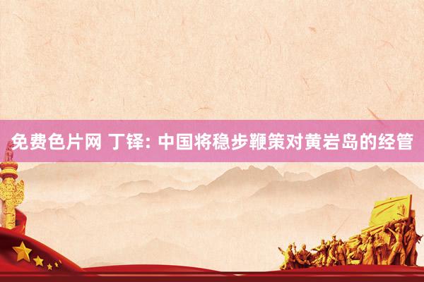 免费色片网 丁铎: 中国将稳步鞭策对黄岩岛的经管