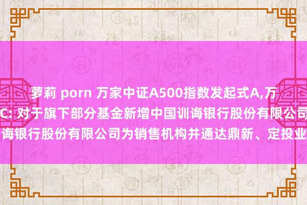 萝莉 porn 万家中证A500指数发起式A,万家中证A500指数发起式C: 对于旗下部分基金新增中国训诲银行股份有限公司为销售机构并通达鼎新、定投业务的公告