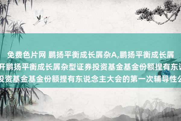 免费色片网 鹏扬平衡成长羼杂A,鹏扬平衡成长羼杂C: 对于以通信口头召开鹏扬平衡成长羼杂型证券投资基金基金份额捏有东说念主大会的第一次辅导性公告