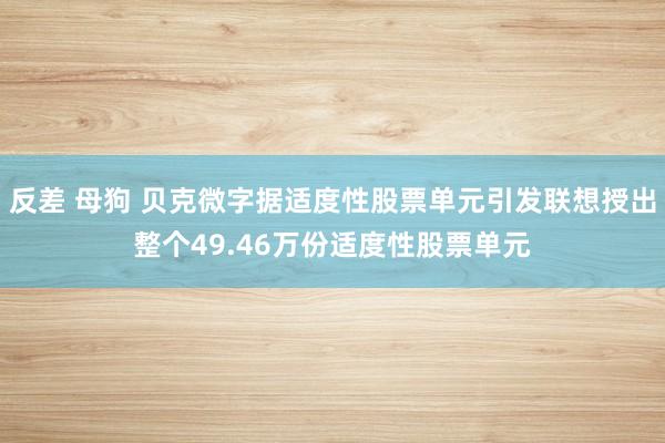 反差 母狗 贝克微字据适度性股票单元引发联想授出整个49.46万份适度性股票单元