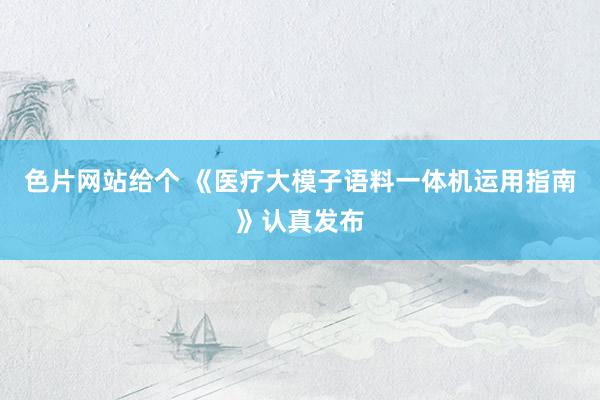 色片网站给个 《医疗大模子语料一体机运用指南》认真发布