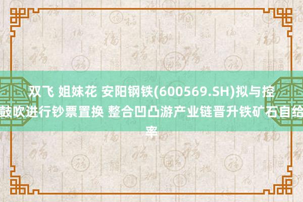 双飞 姐妹花 安阳钢铁(600569.SH)拟与控股鼓吹进行钞票置换 整合凹凸游产业链晋升铁矿石自给率