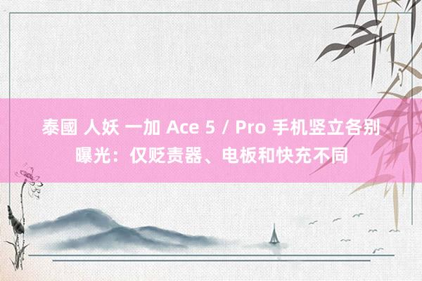 泰國 人妖 一加 Ace 5 / Pro 手机竖立各别曝光：仅贬责器、电板和快充不同