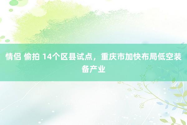 情侣 偷拍 14个区县试点，重庆市加快布局低空装备产业
