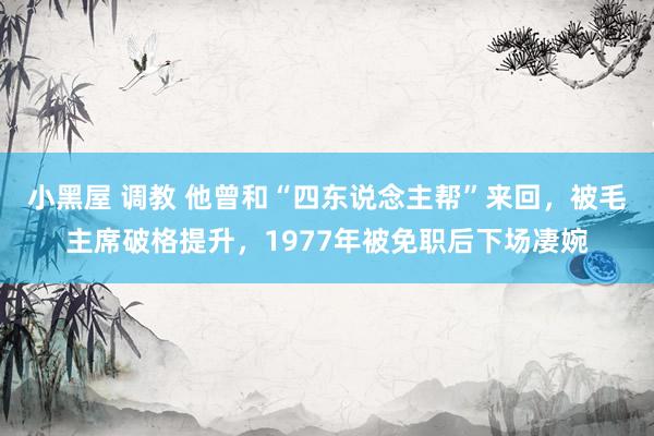 小黑屋 调教 他曾和“四东说念主帮”来回，被毛主席破格提升，1977年被免职后下场凄婉