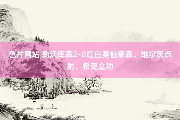 色片网站 勒沃库森2-0红白奥伯豪森,维尔茨点射,希克立功