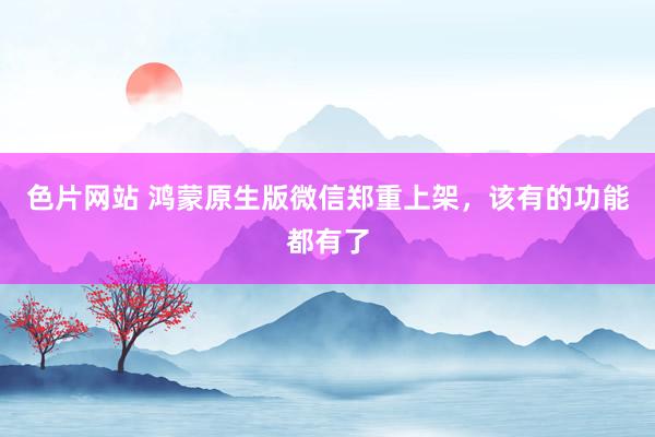 色片网站 鸿蒙原生版微信郑重上架，该有的功能都有了