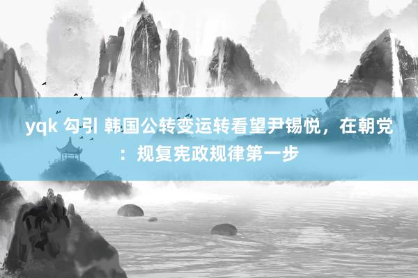 yqk 勾引 韩国公转变运转看望尹锡悦，在朝党：规复宪政规律第一步