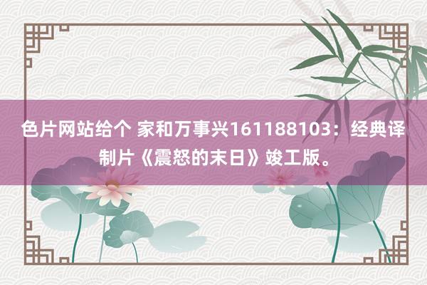 色片网站给个 家和万事兴161188103：经典译制片《震怒的末日》竣工版。