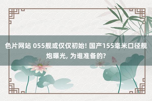 色片网站 055舰或仅仅初始! 国产155毫米口径舰炮曝光， 为谁准备的?
