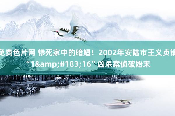 免费色片网 惨死家中的暗娼！2002年安陆市王义贞镇“1&#183;16”凶杀案侦破始末