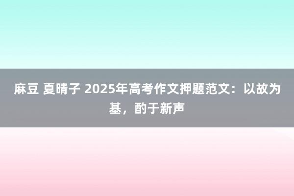 麻豆 夏晴子 2025年高考作文押题范文：以故为基，酌于新声