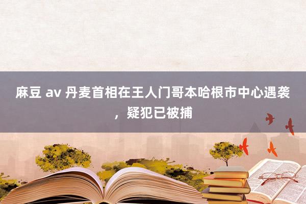 麻豆 av 丹麦首相在王人门哥本哈根市中心遇袭，疑犯已被捕