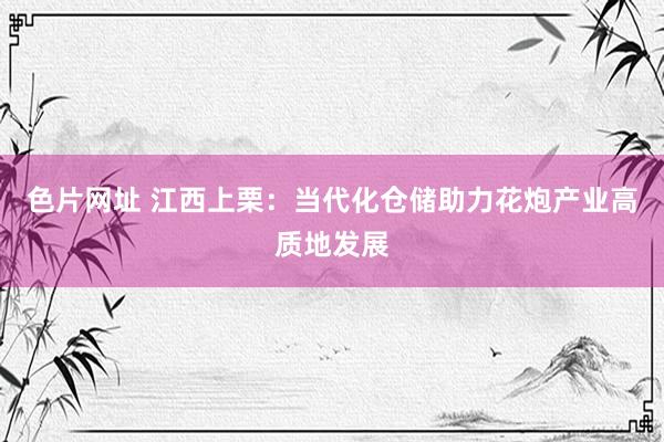 色片网址 江西上栗：当代化仓储助力花炮产业高质地发展