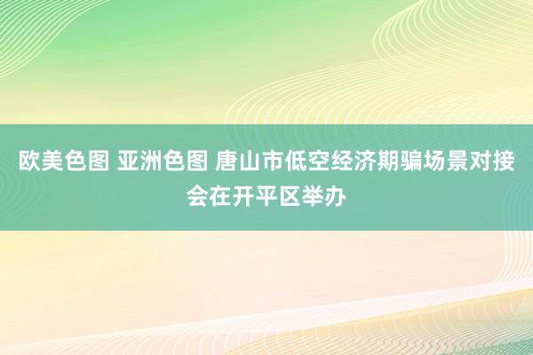 欧美色图 亚洲色图 唐山市低空经济期骗场景对接会在开平区举办