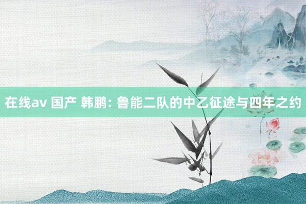在线av 国产 韩鹏: 鲁能二队的中乙征途与四年之约