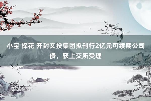 小宝 探花 开封文投集团拟刊行2亿元可续期公司债，获上交所受理