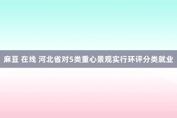 麻豆 在线 河北省对5类重心景观实行环评分类就业