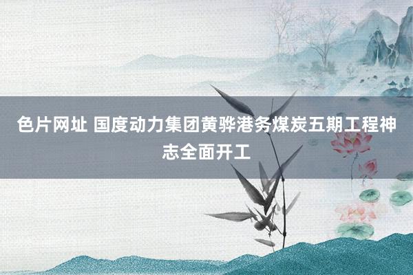 色片网址 国度动力集团黄骅港务煤炭五期工程神志全面开工