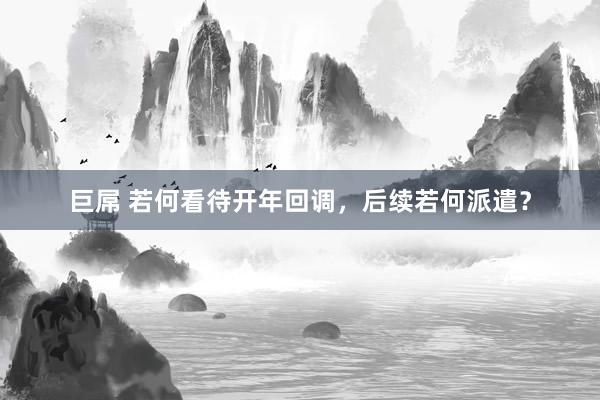 巨屌 若何看待开年回调，后续若何派遣？