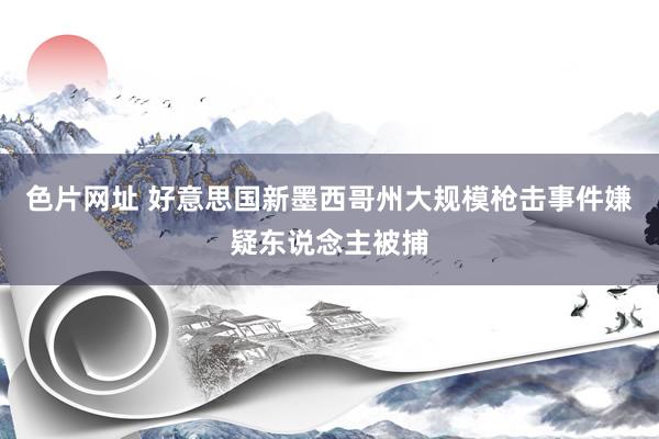 色片网址 好意思国新墨西哥州大规模枪击事件嫌疑东说念主被捕