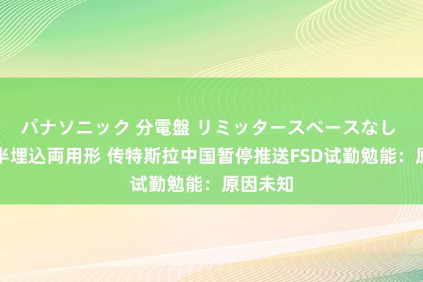 パナソニック 分電盤 リミッタースペースなし 露出・半埋込両用形 传特斯拉中国暂停推送FSD试勤勉能：原因未知