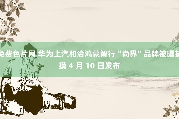 免费色片网 华为上汽和洽鸿蒙智行“尚界”品牌被曝揣摸 4 月 10 日发布