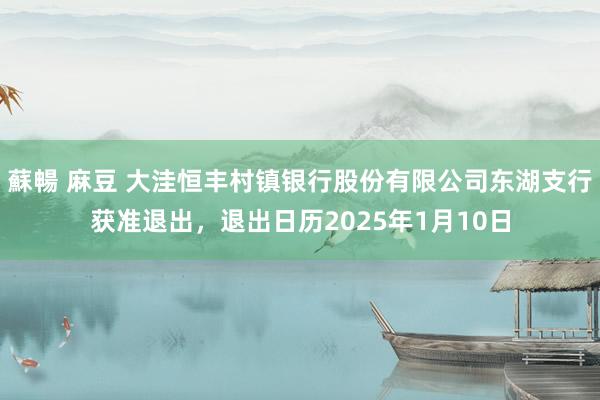 蘇暢 麻豆 大洼恒丰村镇银行股份有限公司东湖支行获准退出，退出日历2025年1月10日