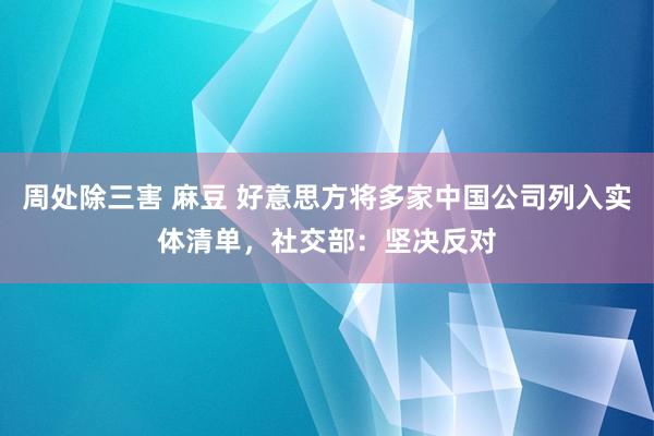 周处除三害 麻豆 好意思方将多家中国公司列入实体清单，社交部：坚决反对