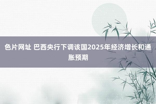 色片网址 巴西央行下调该国2025年经济增长和通胀预期