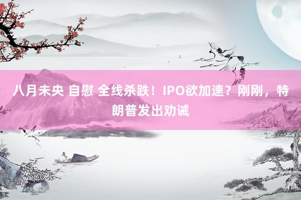 八月未央 自慰 全线杀跌！IPO欲加速？刚刚，特朗普发出劝诫
