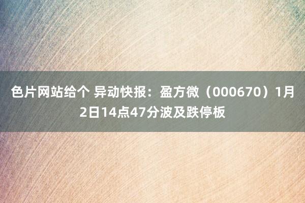 色片网站给个 异动快报：盈方微（000670）1月2日14点47分波及跌停板