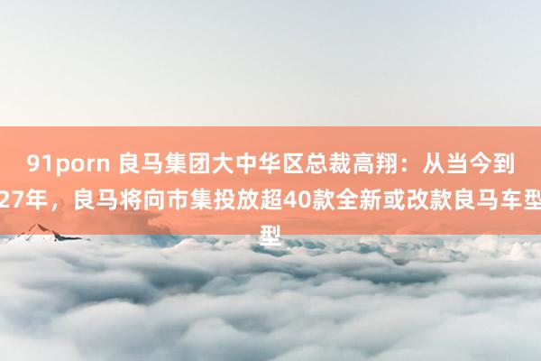 91porn 良马集团大中华区总裁高翔：从当今到27年，良马将向市集投放超40款全新或改款良马车型