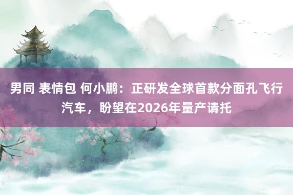 男同 表情包 何小鹏：正研发全球首款分面孔飞行汽车，盼望在2026年量产请托