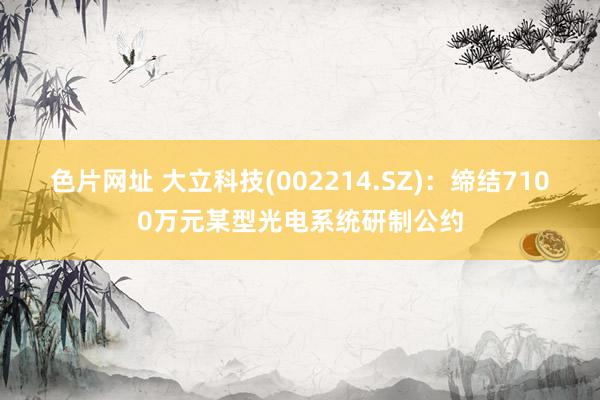 色片网址 大立科技(002214.SZ)：缔结7100万元某型光电系统研制公约