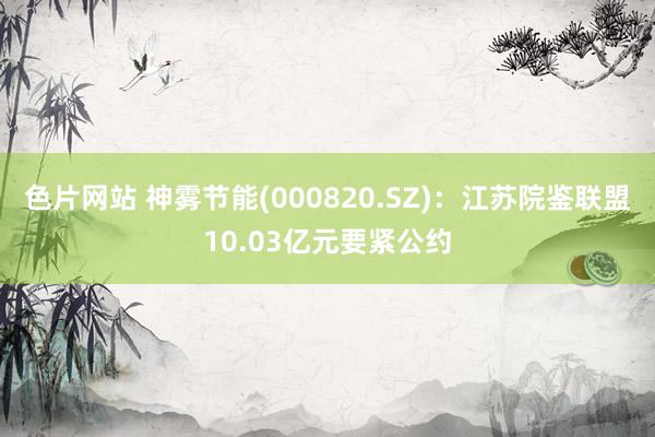 色片网站 神雾节能(000820.SZ)：江苏院鉴联盟10.03亿元要紧公约