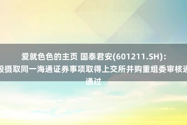 爱就色色的主页 国泰君安(601211.SH)：换股摄取同一海通证券事项取得上交所并购重组委审核通过
