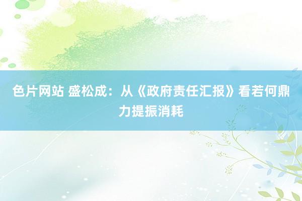 色片网站 盛松成：从《政府责任汇报》看若何鼎力提振消耗