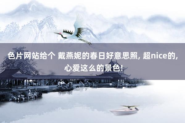 色片网站给个 戴燕妮的春日好意思照， 超nice的， 心爱这么的景色!