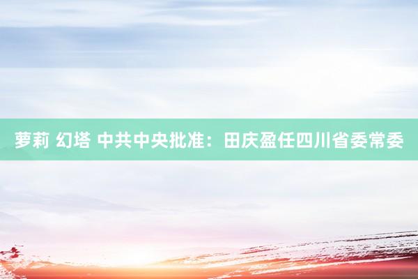 萝莉 幻塔 中共中央批准：田庆盈任四川省委常委