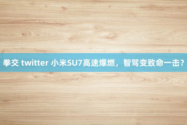 拳交 twitter 小米SU7高速爆燃，智驾变致命一击？