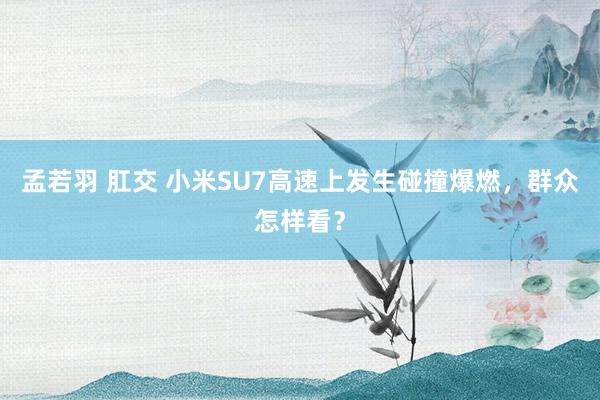 孟若羽 肛交 小米SU7高速上发生碰撞爆燃，群众怎样看？