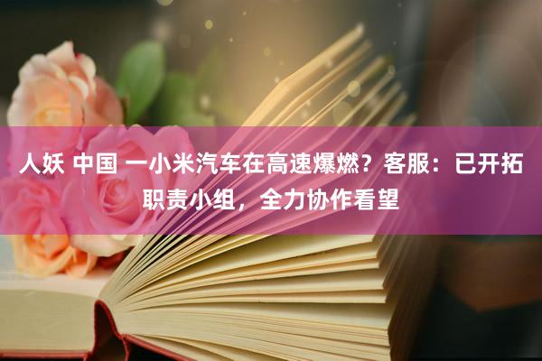 人妖 中国 一小米汽车在高速爆燃？客服：已开拓职责小组，全力协作看望