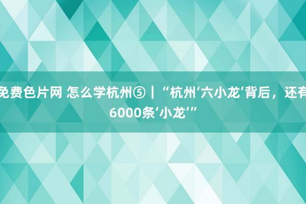 免费色片网 怎么学杭州⑤｜“杭州‘六小龙’背后，还有6000条‘小龙’”