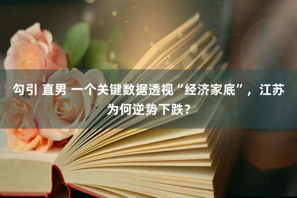 勾引 直男 一个关键数据透视“经济家底”，江苏为何逆势下跌？