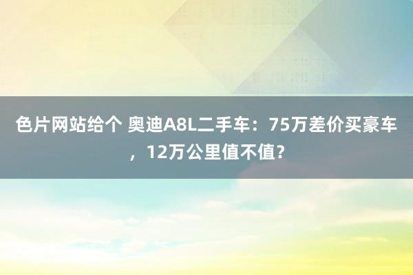 色片网站给个 奥迪A8L二手车：75万差价买豪车，12万公里值不值？