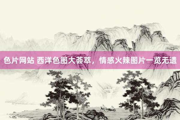 色片网站 西洋色图大荟萃，情感火辣图片一览无遗