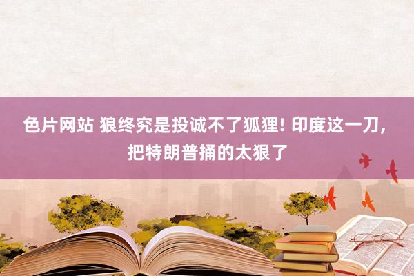 色片网站 狼终究是投诚不了狐狸! 印度这一刀， 把特朗普捅的太狠了